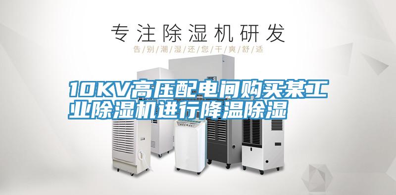 10KV高压配电间购买某工业蕾丝视频污污污进行降温除湿
