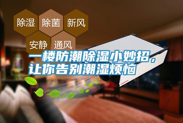 一楼防潮除湿小妙招，让你告别潮湿烦恼