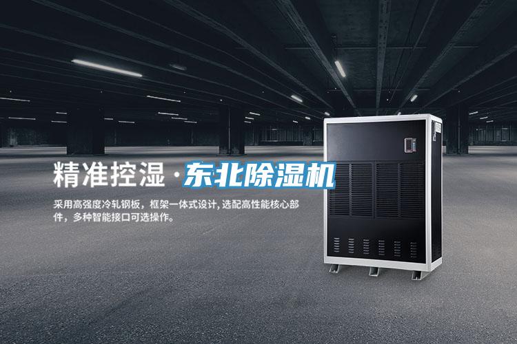 东北蕾丝视频污污污