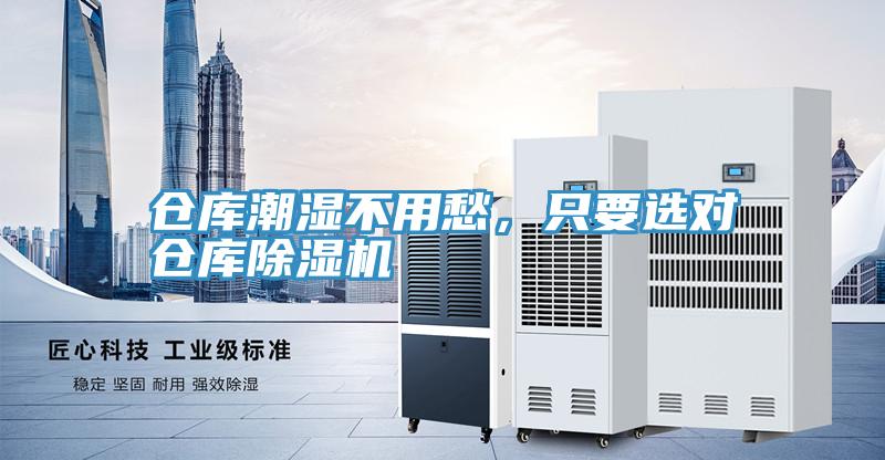 仓库潮湿不用愁，只要选对仓库蕾丝视频污污污