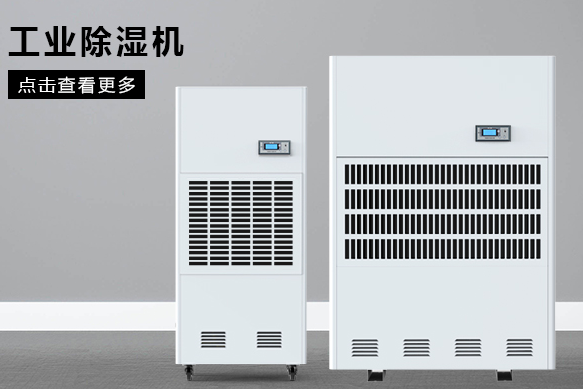 合肥蕾丝视频污污污厂家