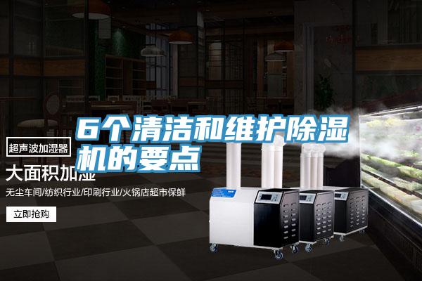 6个清洁和维护蕾丝视频污污污的要点