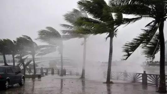 8月台风雨即将来，蕾丝视频污污污还得用起来
