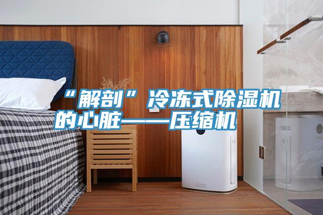 “解剖”冷冻式蕾丝视频污污污的心脏——压缩机