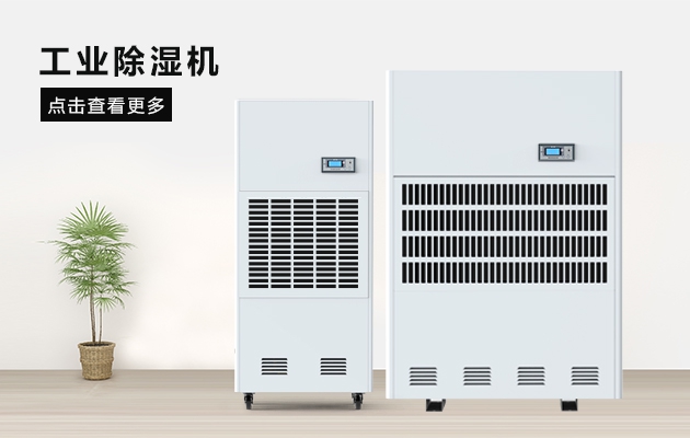 三八节送妈妈的礼物，选这款蕾丝视频软件汅下载华为版安装除湿器就对了