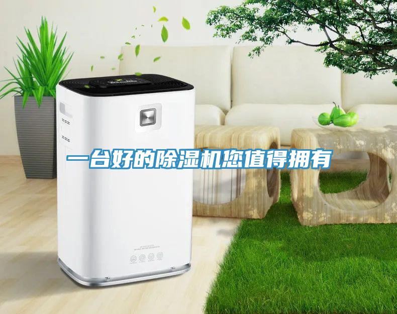 一台好的蕾丝视频污污污您值得拥有