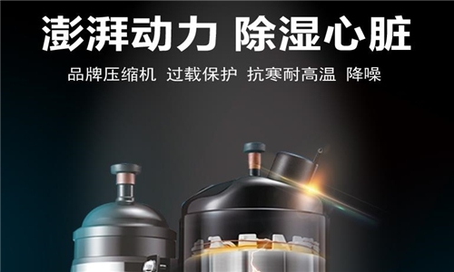 别吃了潮湿环境的亏，蕾丝视频污污污正确开启方式