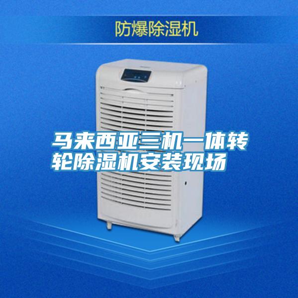 马来西亚三机一体转轮蕾丝视频污污污安装现场