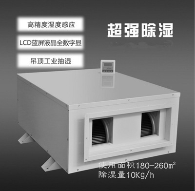 2022年蕾丝视频污污污十大品牌