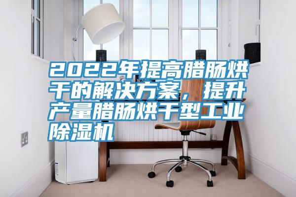 2022年提高腊肠烘干的解决方案，提升产量腊肠烘干型工业蕾丝视频污污污