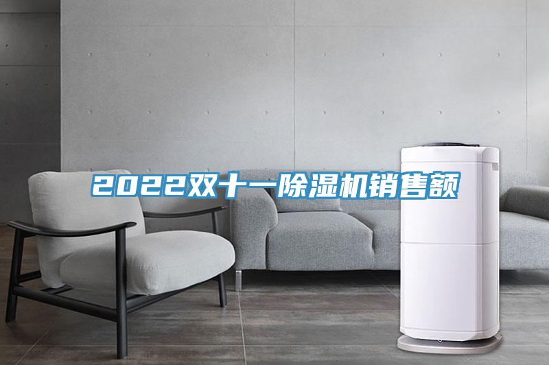 2022双十一蕾丝视频污污污销售额