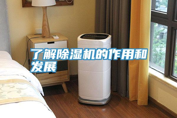 了解蕾丝视频污污污的作用和发展