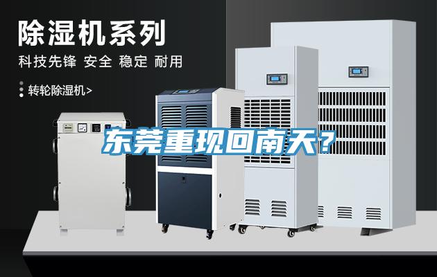 东莞重现回南天？