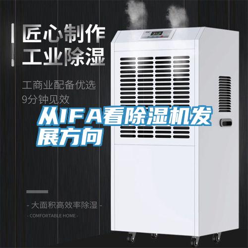 从IFA看蕾丝视频污污污发展方向