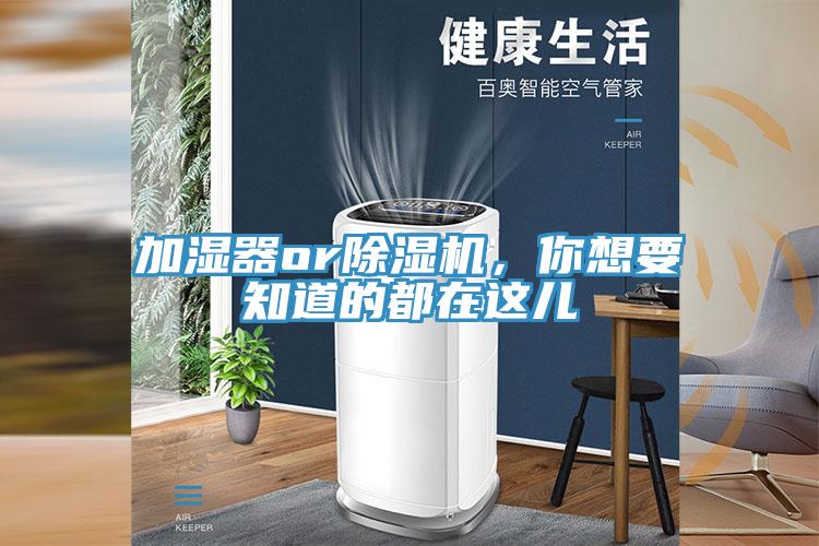 加湿器or蕾丝视频污污污，你想要知道的都在这儿