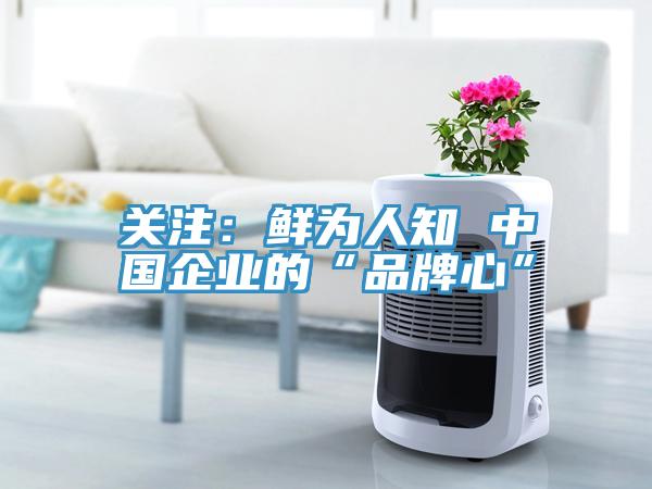 关注：鲜为人知 中国企业的“品牌心”