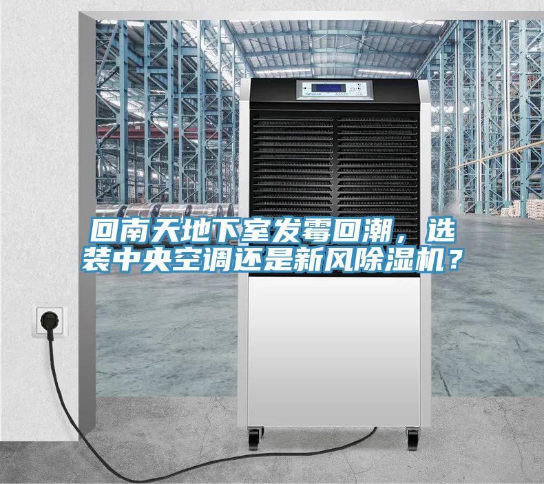 回南天地下室发霉回潮，选装中央空调还是新风蕾丝视频污污污？