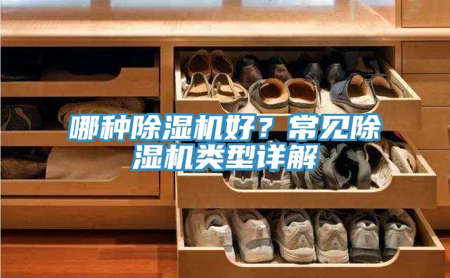 哪种蕾丝视频污污污好？常见蕾丝视频污污污类型详解