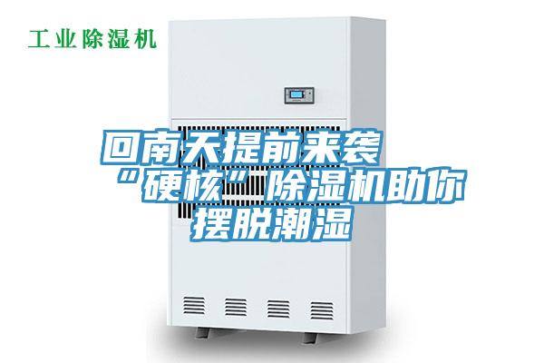 回南天提前来袭 “硬核”蕾丝视频污污污助你摆脱潮湿