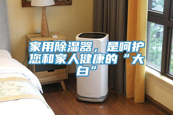 家用除湿器，是呵护您和家人健康的“大白”