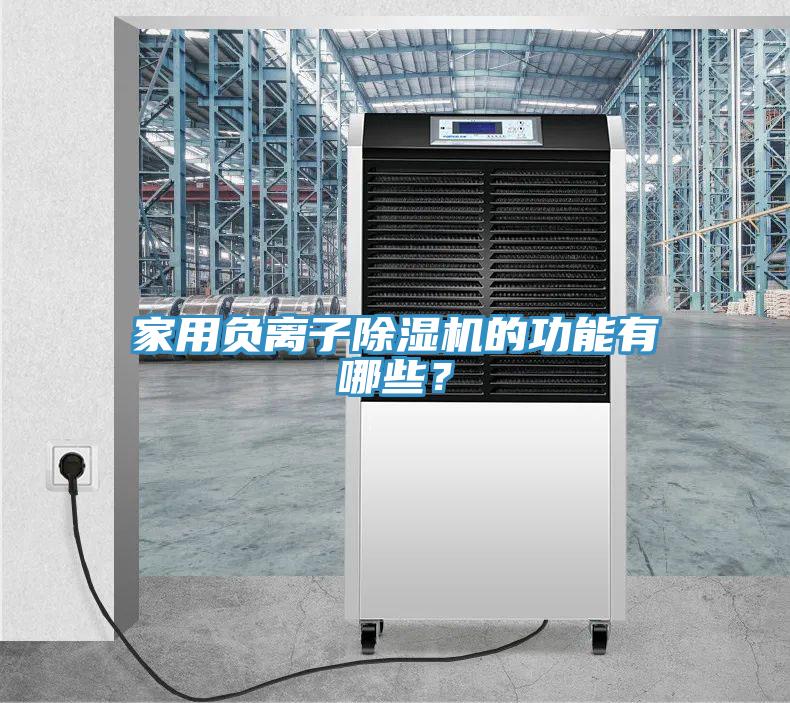 家用负离子蕾丝视频污污污的功能有哪些？