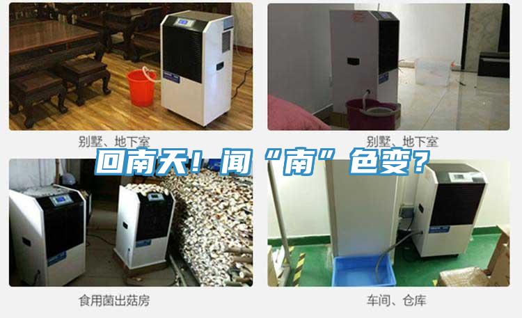 回南天！闻“南”色变？