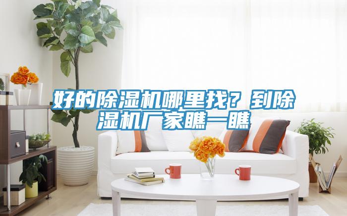 好的蕾丝视频污污污哪里找？到蕾丝视频污污污厂家瞧一瞧