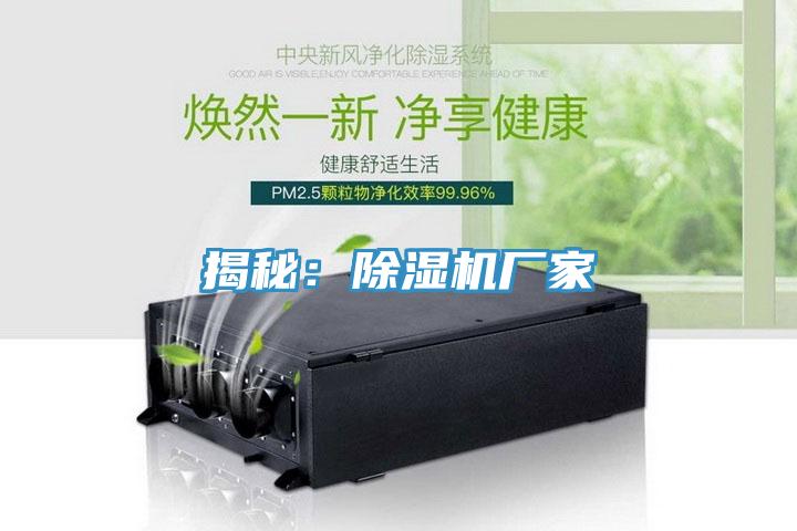 揭秘：蕾丝视频污污污厂家