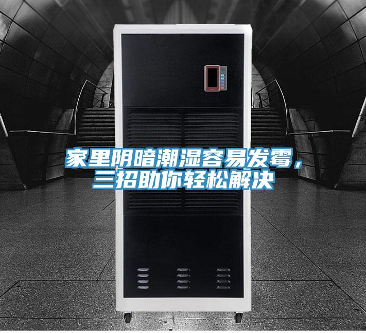 家里阴暗潮湿容易发霉，三招助你轻松解决