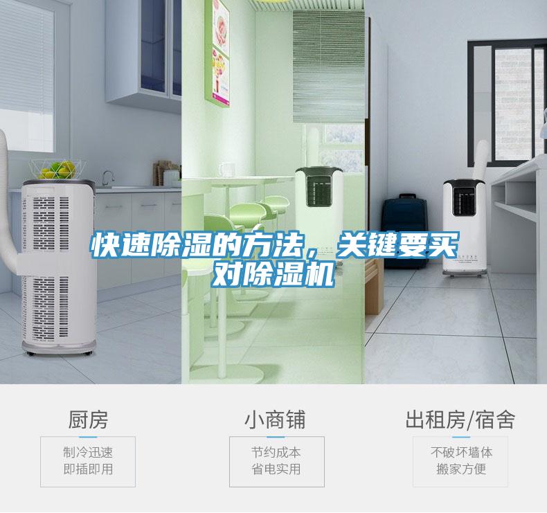 快速除湿的方法，关键要买对蕾丝视频污污污