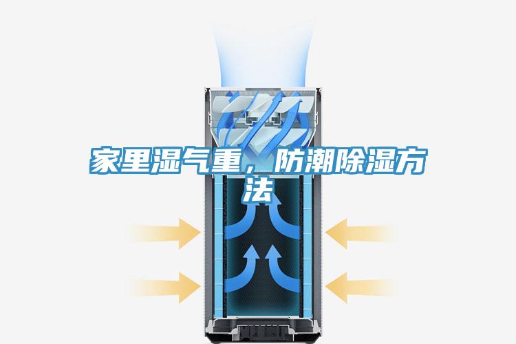 家里湿气重，防潮除湿方法