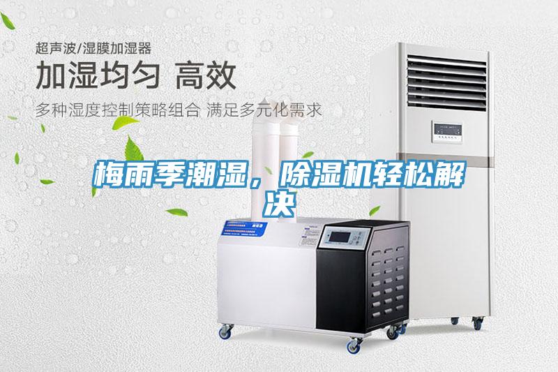 梅雨季潮湿，蕾丝视频污污污轻松解决