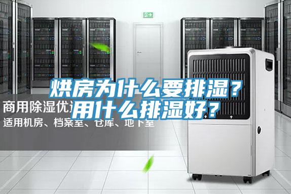 烘房为什么要排湿？用什么排湿好？