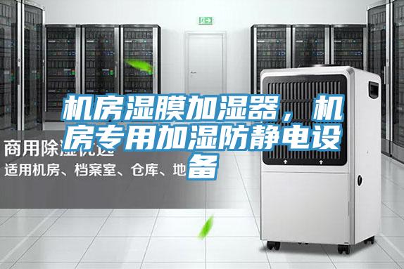 机房湿膜加湿器，机房专用加湿防静电设备