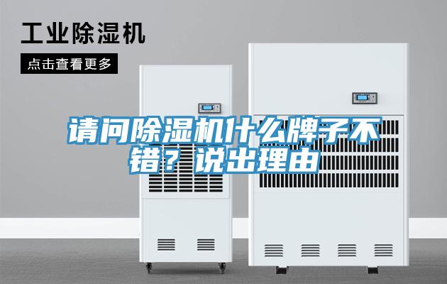 请问蕾丝视频污污污什么牌子不错？说出理由