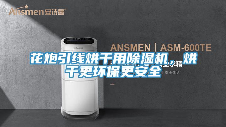 花炮引线烘干用蕾丝视频污污污，烘干更环保更安全