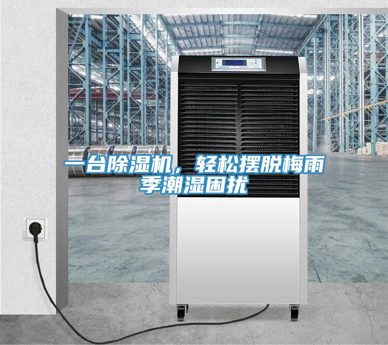 一台蕾丝视频污污污，轻松摆脱梅雨季潮湿困扰