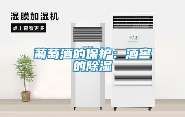 葡萄酒的保护：酒窖的除湿