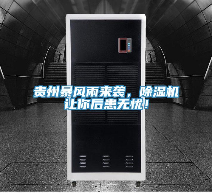 贵州暴风雨来袭，蕾丝视频污污污让你后患无忧！