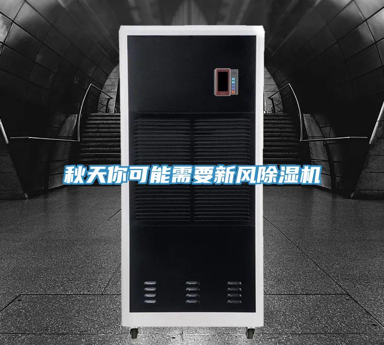 秋天你可能需要新风蕾丝视频污污污