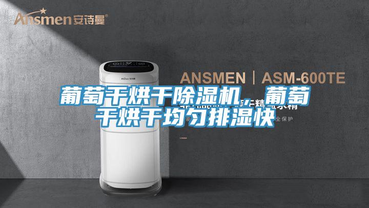 葡萄干烘干蕾丝视频污污污，葡萄干烘干均匀排湿快