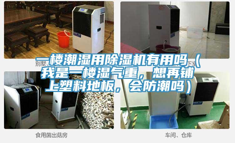 一楼潮湿用蕾丝视频污污污有用吗（我是一楼湿气重，想再铺上塑料地板，会防潮吗）