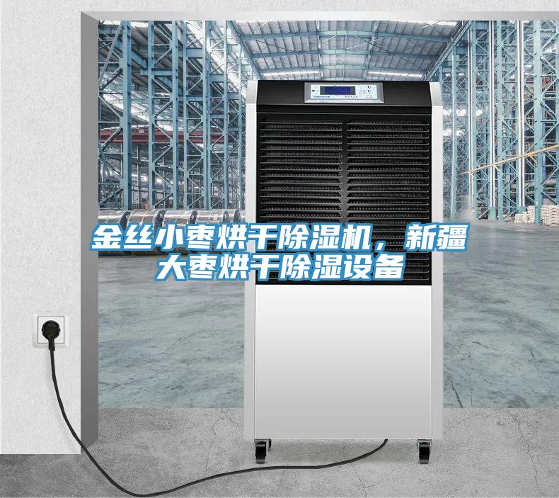 金丝小枣烘干蕾丝视频污污污，新疆大枣烘干除湿设备
