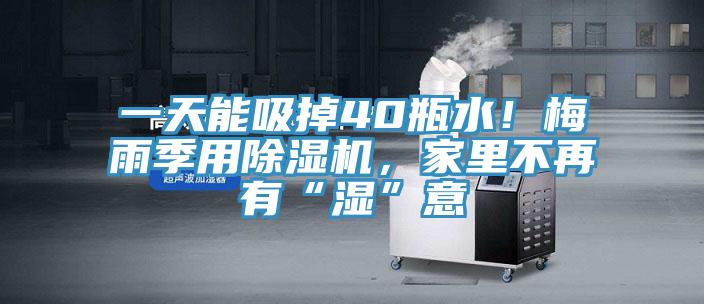 一天能吸掉40瓶水！梅雨季用蕾丝视频污污污，家里不再有“湿”意