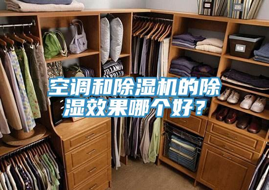 空调和蕾丝视频污污污的除湿效果哪个好？