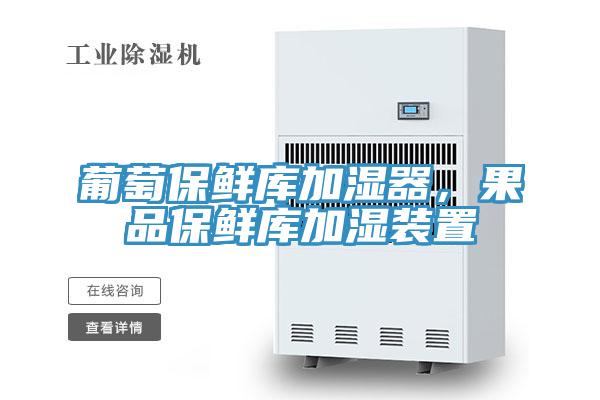 葡萄保鲜库加湿器，果品保鲜库加湿装置