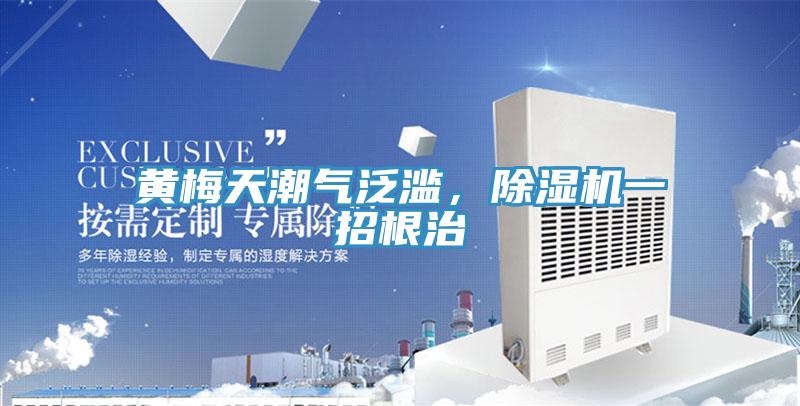 黄梅天潮气泛滥，蕾丝视频污污污一招根治