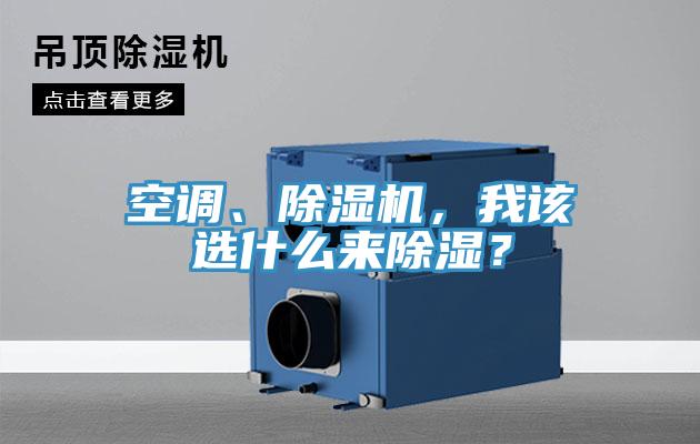 空调、蕾丝视频污污污，我该选什么来除湿？