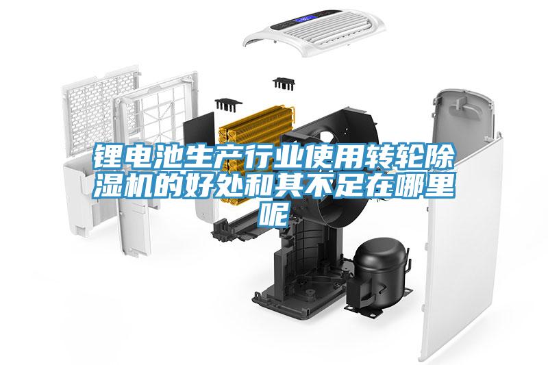 锂电池生产行业使用转轮蕾丝视频污污污的好处和其不足在哪里呢