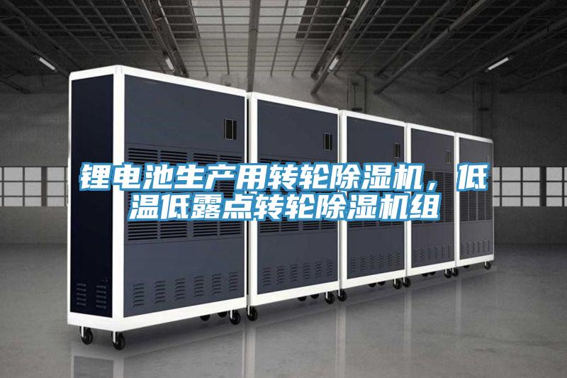 锂电池生产用转轮蕾丝视频污污污，低温低露点转轮蕾丝视频污污污组